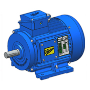 RAVI SERIES MOTORS